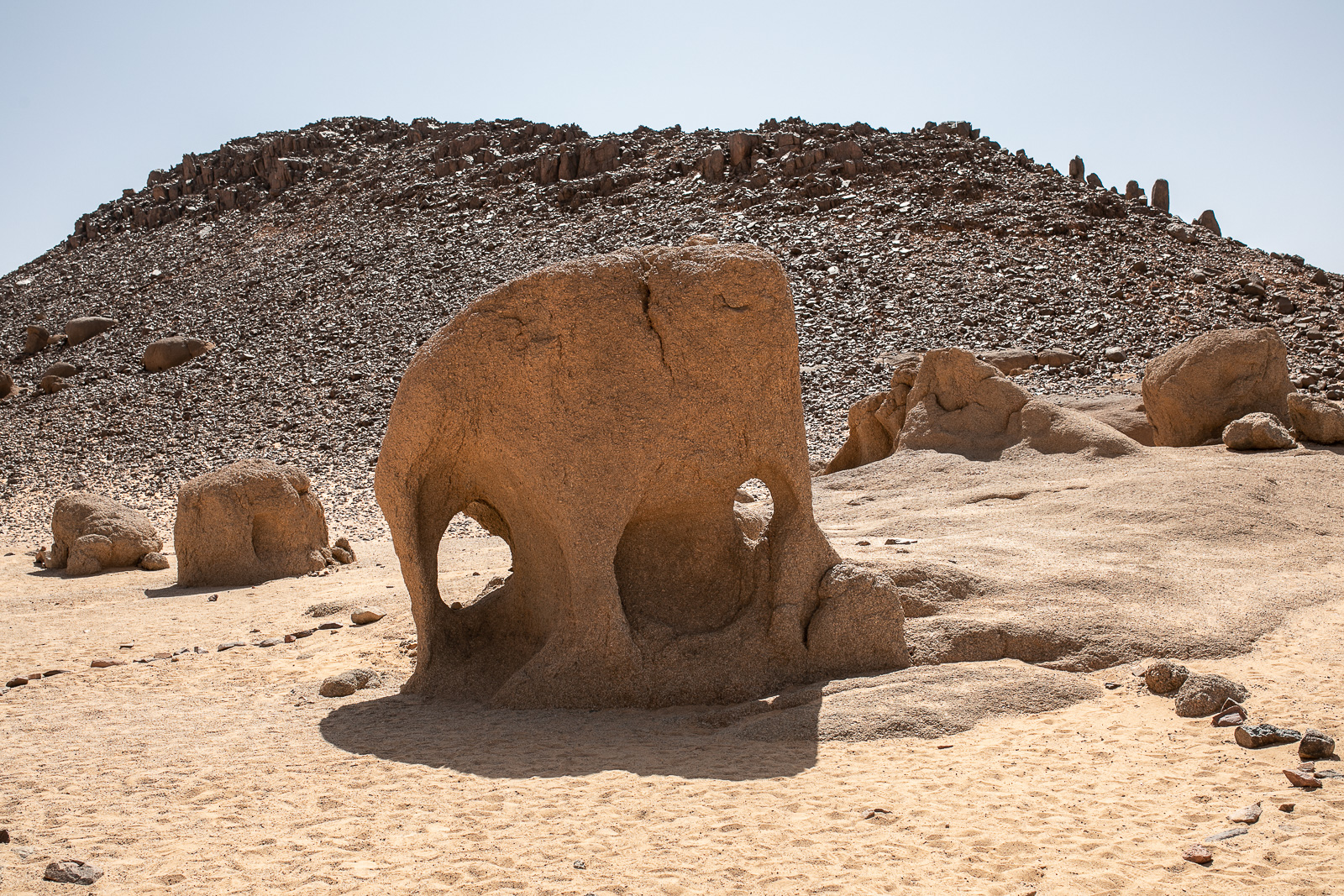 Human & Nature  outoftime 106